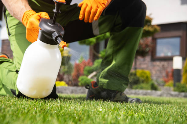 Best Cockroach Control Services  in Harvard, IL
