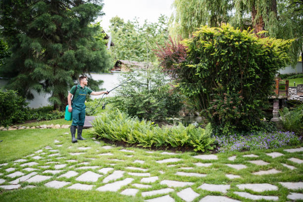 Best Pest Removal Services  in Harvard, IL
