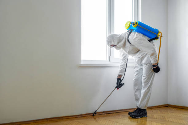 Best Wasp Removal Services  in Harvard, IL