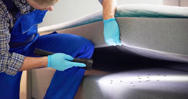 Flea Control Services in Harvard, IL