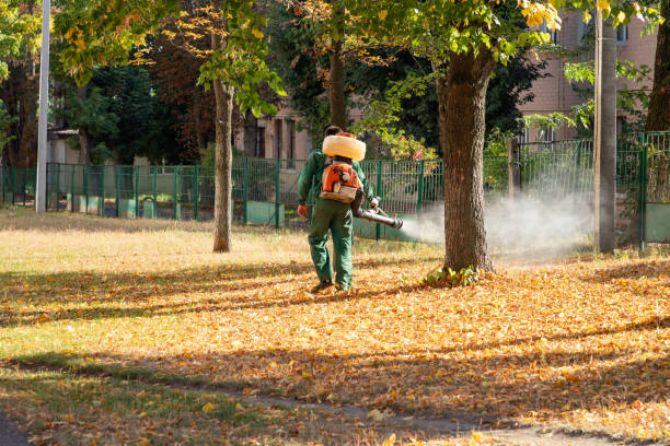 Best Affordable Pest Control Services  in Harvard, IL