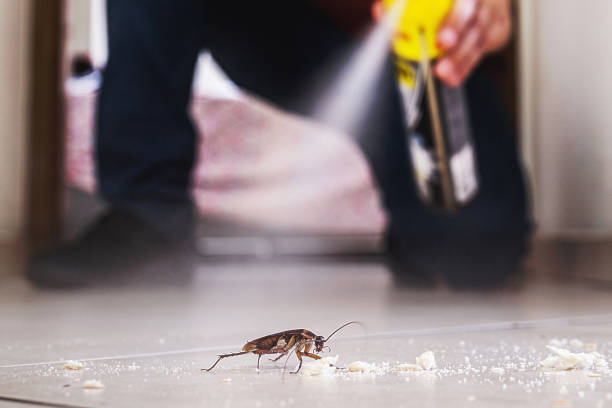 Best Commercial Pest Control Services  in Harvard, IL