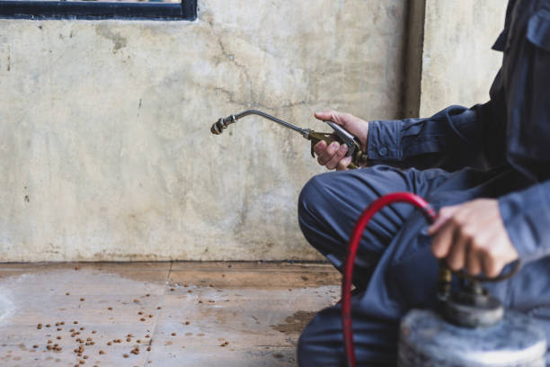 Best Flea Control Services  in Harvard, IL